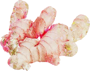 Fresh Ginger Root Isolated PNG Image