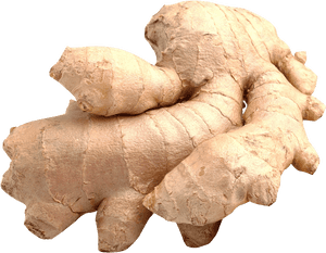 Fresh Ginger Root PNG with transparent background