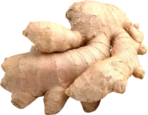 Fresh Ginger Root PNG Image