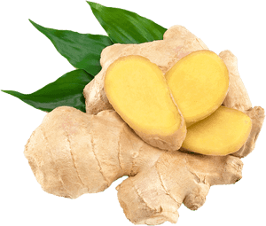 Fresh Ginger Root Slices.png PNG with transparent background