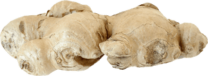 Fresh Ginger Root PNG image with transparent background