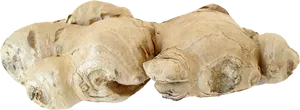 Fresh Ginger Root PNG Image