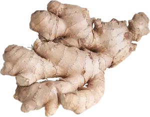 Fresh Ginger Root PNG Image