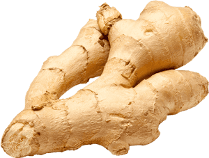 Fresh Ginger Roots PNG with transparent background
