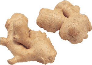 Fresh Ginger Roots PNG with transparent background