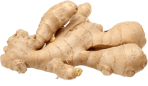 Fresh Ginger Roots PNG with transparent background
