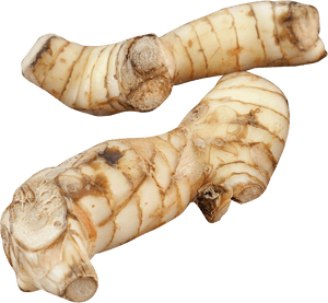 Fresh Ginger Roots Isolated PNG with transparent background