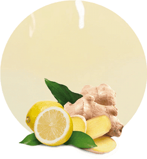 Fresh Gingerand Lemon Slices PNG image with transparent background
