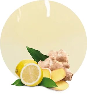 Fresh Gingerand Lemon Slices PNG Image