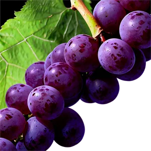 Fresh Grape Image Png 06292024 PNG Image