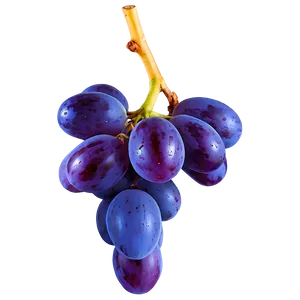 Fresh Grape Image Png 42 PNG Image