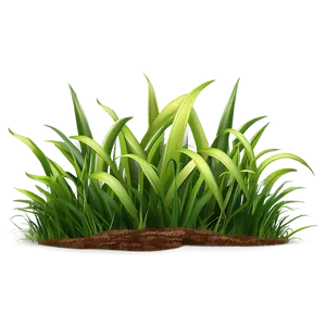 Fresh Grass Clipart Png 32 PNG Image