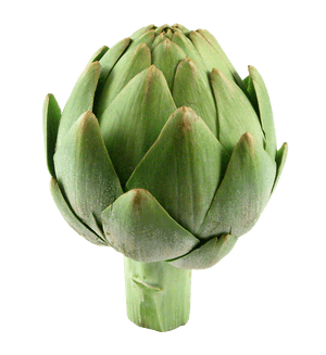 Fresh Green Artichoke.png PNG image with transparent background