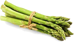 Fresh Green Asparagus Bundle PNG Image