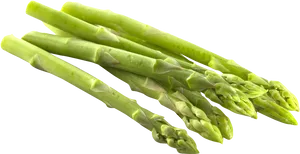 Fresh Green Asparagus Stalks PNG Image