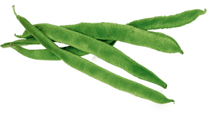 Runner Beans - Green Beans Clipart Png, Transparent Png PNG image with transparent background