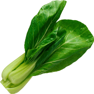 Pak Choy - Spinach Vegetable Png, Transparent Png PNG image with transparent background