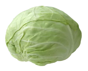 Fresh Green Cabbage PNG Image