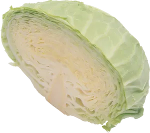 Fresh Green Cabbage Half PNG Image