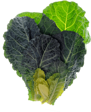 Transparent Leafy Png - Leafy Greens Transparent, Png Download PNG with transparent background