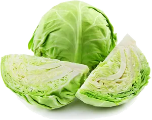 Fresh Green Cabbageand Cut Wedges PNG Image