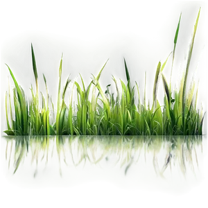 Fresh Green Cartoon Grass Png 58 PNG Image