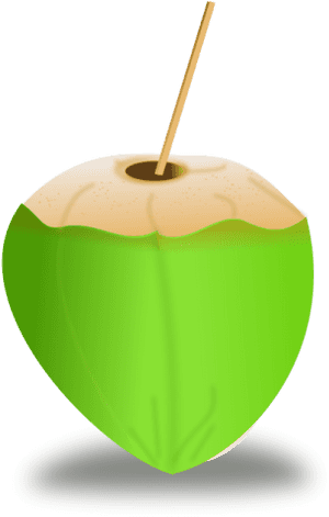 Art Free Collection Download - Clipart Of Coconut, HD Png Download PNG with transparent background