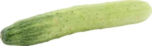 Fresh Green Cucumber Isolated PNG Image