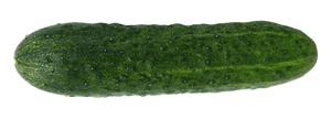 Fresh Green Cucumber PNG image with transparent background
