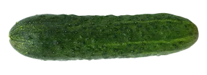 Fresh Green Cucumber PNG Image