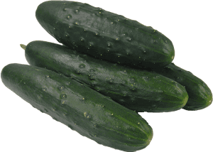 Pickled Cucumber Vegetable Spreewald Gherkins - Cucumber, HD Png Download PNG image with transparent background