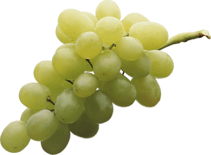 Grapes Png, Transparent Png PNG image with transparent background