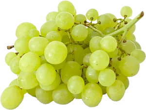 Fresh Green Grapes Cluster.png PNG Image