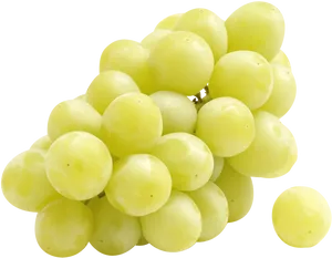 Fresh Green Grapes Cluster.png PNG Image