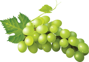 Sultana Grape Zante Currant Seedless Fruit Sauvignon - Green Grape Png, Transparent Png PNG image with transparent background