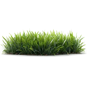 Fresh Green Grass Png 06262024 PNG Image