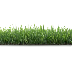 Fresh Green Grass Png 38 PNG Image