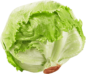 Romaine Lettuce Seed Iceberg Lettuce Rijk Zwaan Salad - Transparent Background Lettuce Transparent, HD Png Download PNG image with transparent background