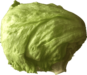 Transparent Cabbage Clipart - Clipart Image Of Lettuce, HD Png Download PNG image with transparent background