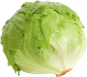 Fresh Green Iceberg Lettuce PNG Image