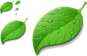 Plant - Hartalika Teej Png, Transparent Png PNG image with transparent background