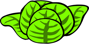 Lettuce Clipart Transparent, HD Png Download PNG image with transparent background