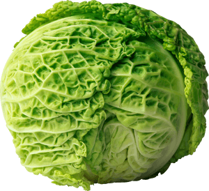 Cabbage Png Image - Cabbage Png, Transparent Png PNG image with transparent background
