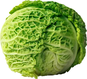 Fresh Green Lettuce Head PNG Image