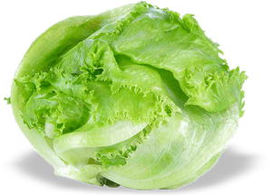 Iceburg Lettuce, HD Png Download PNG image with transparent background