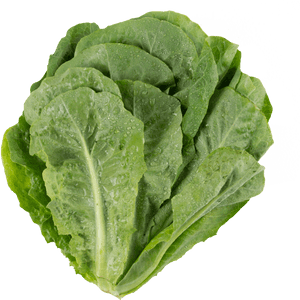 Transparent Lettuce Png - Collard Greens, Png Download PNG image with transparent background