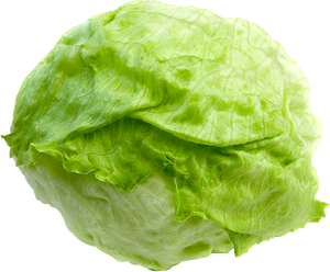 Lettuce Clipart Lettuce Slice - Head Of Lettuce Transparent Background, HD Png Download PNG image with transparent background