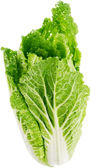 Leaf Png Free Images - Transparent Background Lettuce Png, Png Download PNG image with transparent background