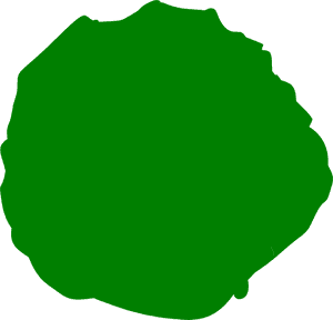 Green Lettuce Svg Clip Arts, HD Png Download PNG image with transparent background