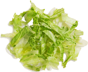 Shredded Lettuce Transparent Background, HD Png Download PNG image with transparent background
